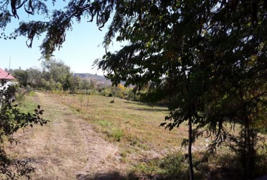 Urban land Izvoru Barzii, Mehedinti County